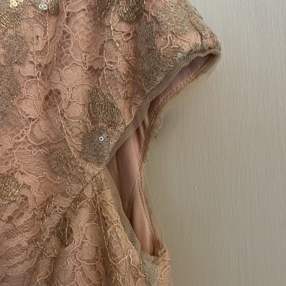 Vera Wang formal pink rose lace with gold/sliver detail size 6 - Picture 3 of 6